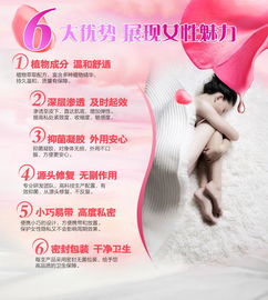 健康咨詢服務(wù)的價(jià)值 專業(yè)指導(dǎo)與個(gè)性化關(guān)懷